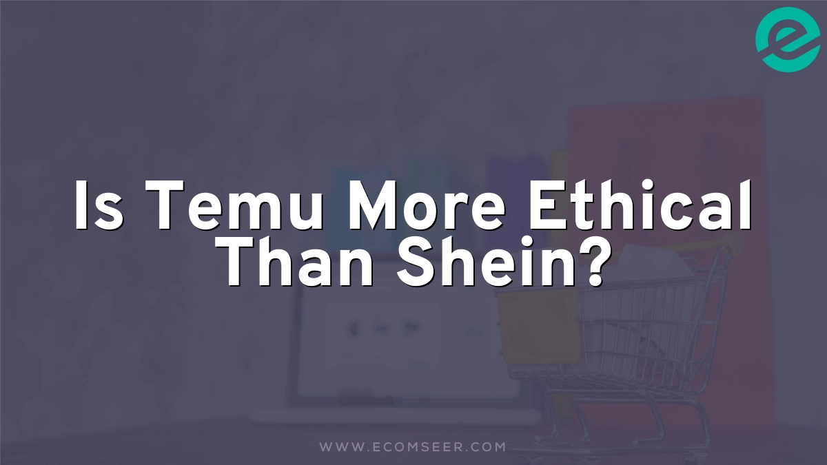 Is Temu More Ethical Than Shein? 